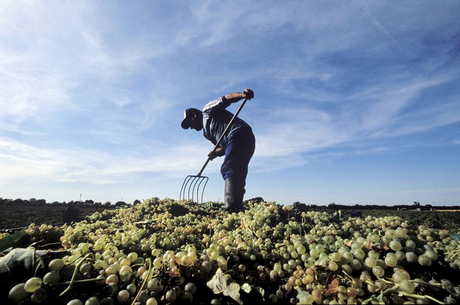 Los agricultores españoles mantienen su lucha climática aunque haya otras prioridades