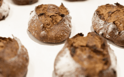 Granier impulsa la gastronomía sostenible con buenas prácticas, reciclaje y gestión de residuos