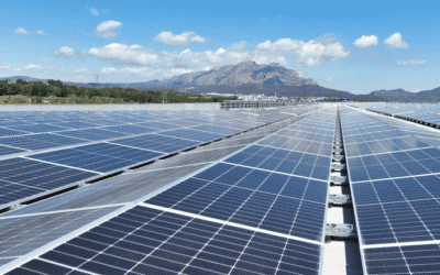 Mercadona inaugura su mayor planta fotovoltaica y alcanza los 100 MW de energía renovable en toda la cadena
