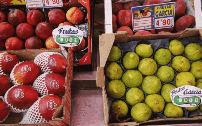 Alimentación sana, menos plásticos y eliminación de químicos, recomendaciones para «un verano menos tóxico»