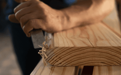 El sector de la construcción y la madera: una alianza para una arquitectura sostenible