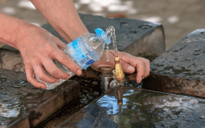 Reducir el consumo de bebidas en botellas de plástico disminuye la presión arterial