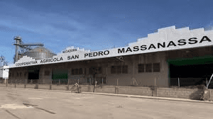 La cooperativa de Massanassa pide ayuda para retirar un millón de kilos de arroz putrefacto