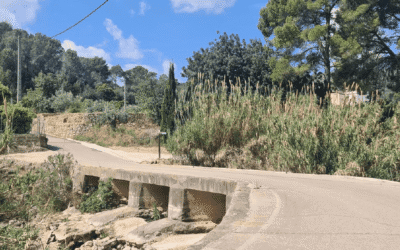 La Diputación de Valencia impulsa la vía ciclopeatonal del Vernissa para unir Alfauir, Ròtova, Almiserà y Llocnou de Sant Jeroni