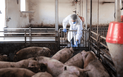 Agricultura amplía con 4,8 millones de euros las ayudas a la mejora de la competitividad y sostenibilidad