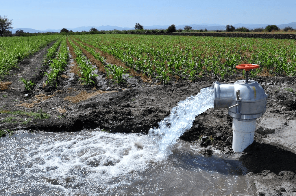 WWF denuncia el robo de agua y la sobreexplotación en seis acuíferos