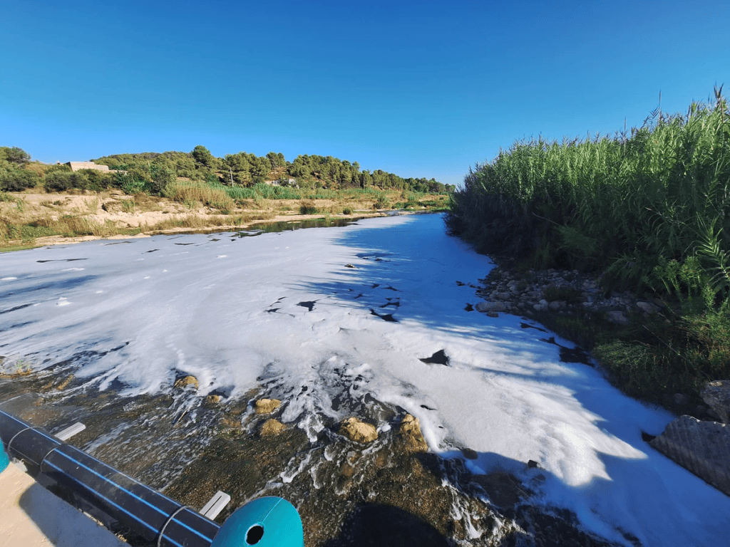 Hallan restos químicos en el río Magro, donde ya se han recogido 2.500 kilos de peces muertos