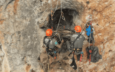 Reconstruyen nidos de águila perdicera destruidos en el incendio de la Sierra de Espadán