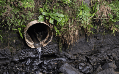 Greenpeace: «España supera el umbral sostenible de consumo de agua»