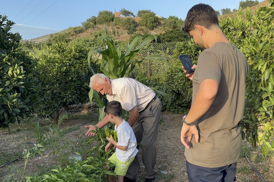 Un ‘agroinfluencer’ octogenario triunfa en redes con consejos del campo junto a su nieto