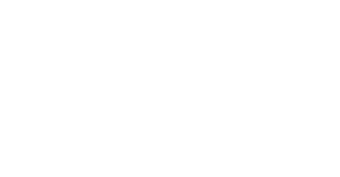 logo infoSOS footer